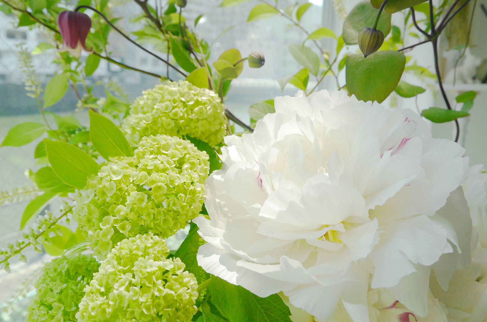 すてきなお花に出会う店「タカオフラワーブティック」